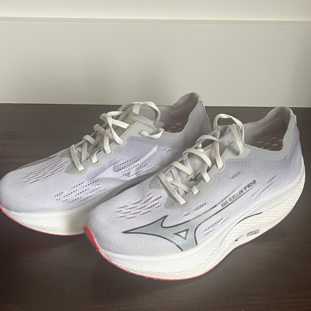 Mizuno Wave Rebellion Pro 2